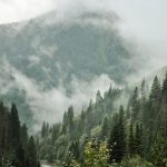 pexels-photo-4017166