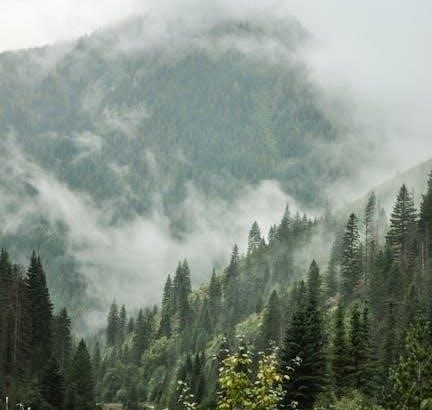 pexels-photo-4017166