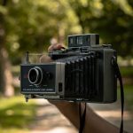 pexels-photo-34608277