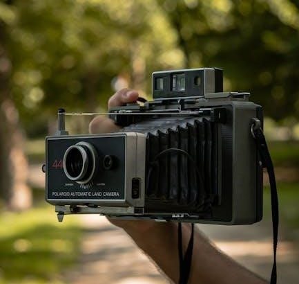 pexels-photo-34608277