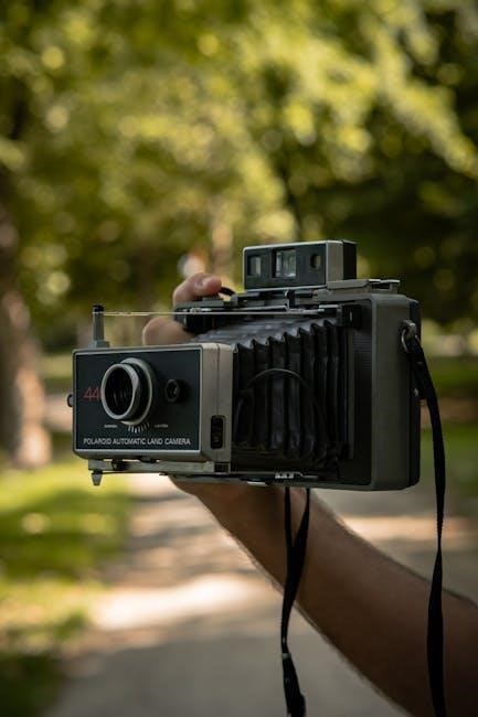 pexels-photo-34608277