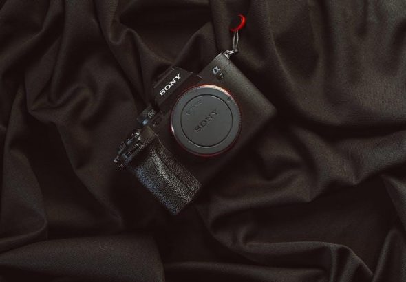 pexels-photo-19969452