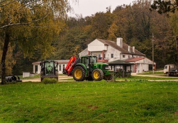 pexels-photo-29345280