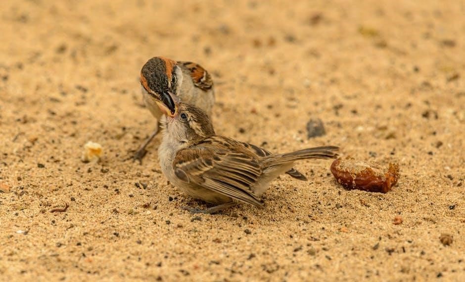 pexels-photo-4129960