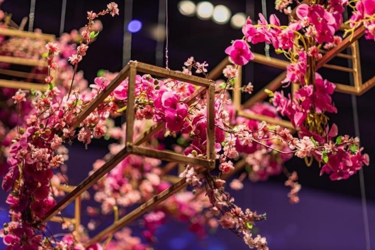 pexels-photo-16935932